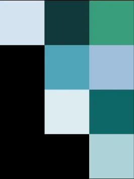 Global Ocean Accounts Partnership